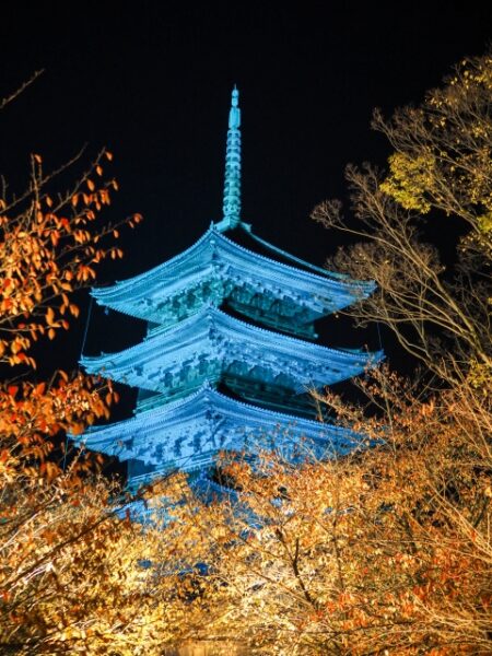 １１月１４日は世界糖尿病デーのアイキャッチ画像